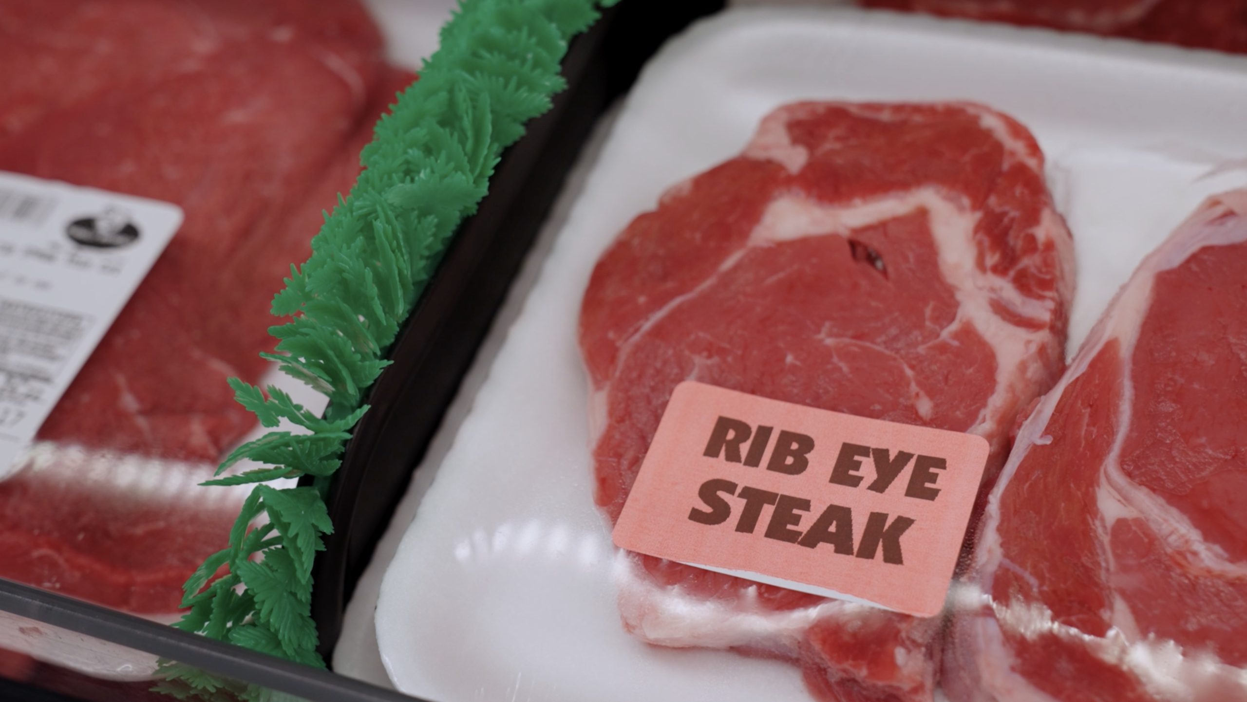 Meat